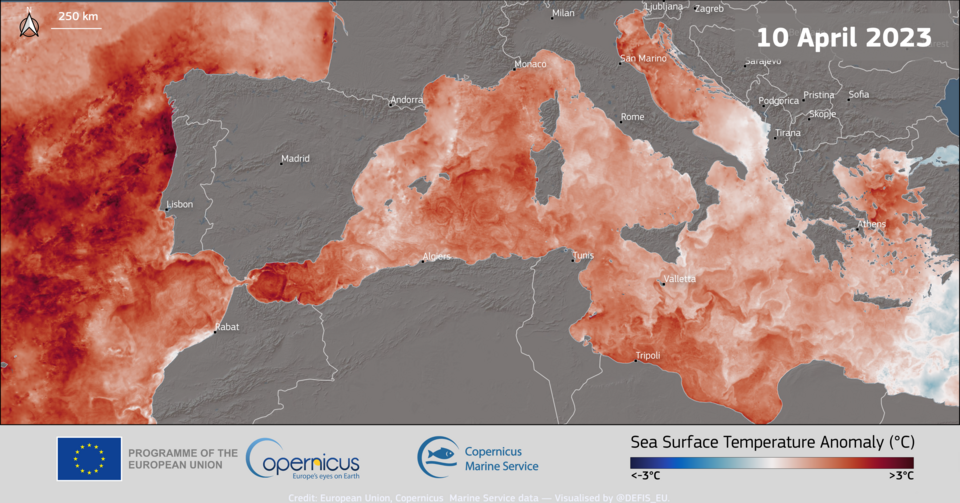 Global sea surface temperature chart